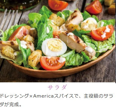 ONE SECOND 飯奉行 アメリカスパイス