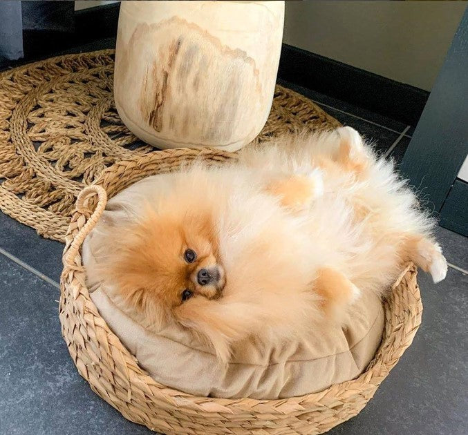WOUAPY BRAIDED BASKET