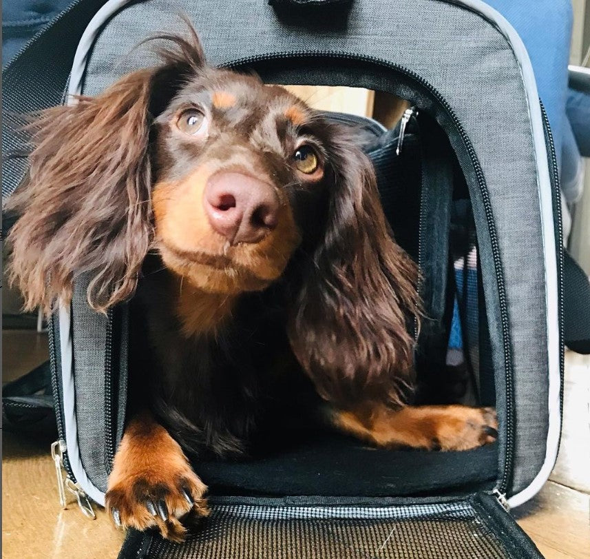 WOUAPY SLEEPING CARRIER